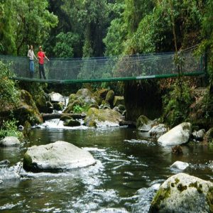 Río San Gerardo de Dota