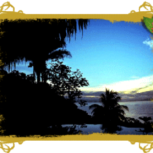 Tres Palmas in Costa Rica Osa Peninsula