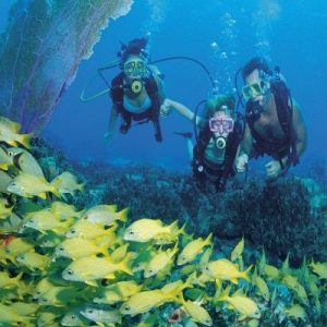 Diving Gandoca Costa Rica