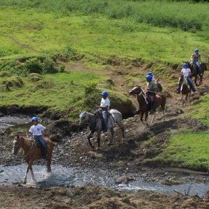 Horse riding in Dominical