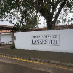 Lankester Botanical Gardens Ccosta Rica