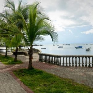 Puerto Jiménez rustic charm