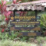 Welcome Lankester botanical gardens