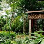 Bosque del Cabo