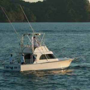 Papagayo sport fishing