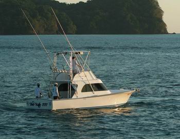 Papagayo sport fishing