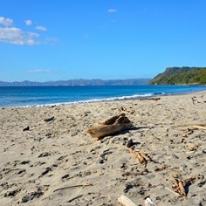 Playa Cabuyal Peninsula Papagayo Costa Rica