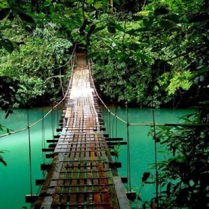 Monteverde river