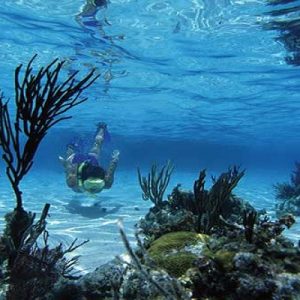 Beach Caño Island, Osa Peninsula,Snorkeling