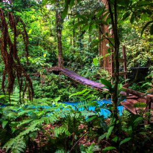 Rio Celeste, bridge