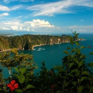 Carara National Park, View