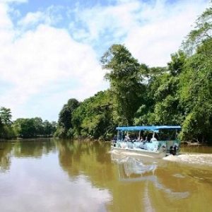 Caño Negro, river