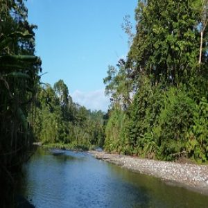 Corcovado National Park