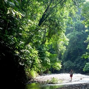 Walking up the Rio Tigre on the Osa Peninsula