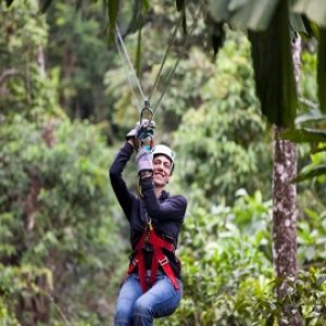 Veragua Rainforest, canopi