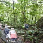 veragua-rainforest-tram-and-trails-limon-costa-rica