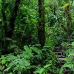 Lagoon Cerro Chato