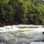 Cucaracho River, Costa Rica