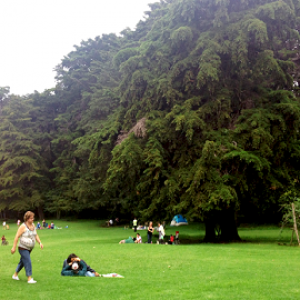 Spend the most wonderful family day, in Bosque de la Hoja