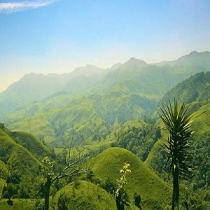 Rainforests Costa Rica