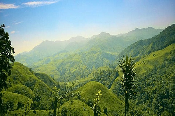 Rainforests Costa Rica