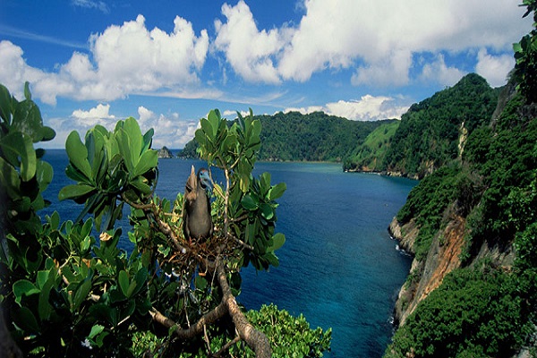 Nicoya Peninsula beaches