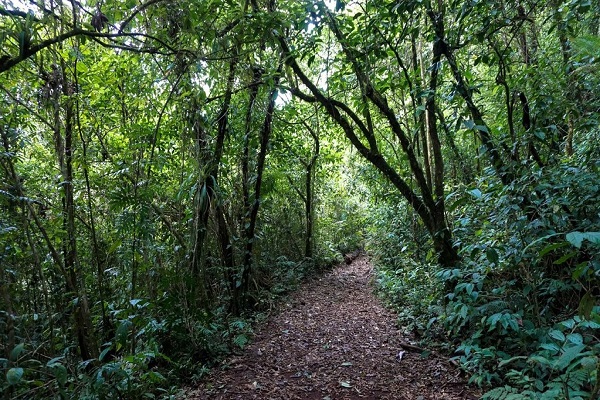 Visiting the Hule Lake in Costa Rica