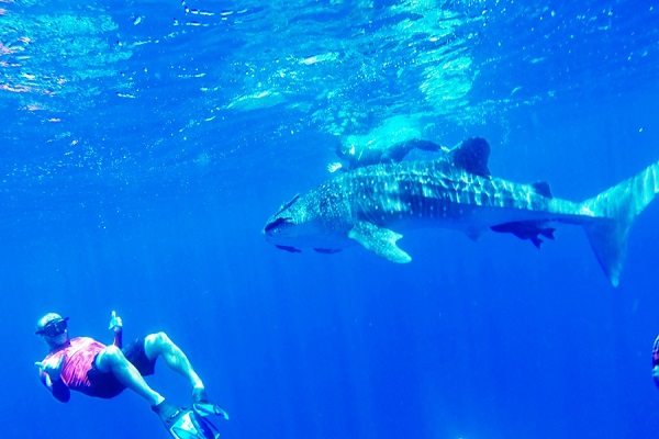 Catalina Islands, Guanacaste