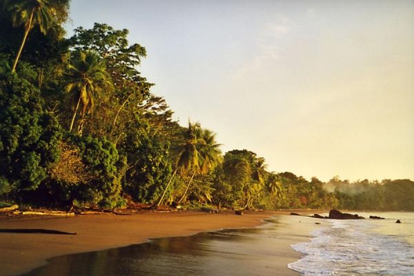 Bahía Drake, Osa