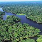 Canales-de-Tortuguero