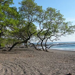 Playa Marbella Beach Costa Rica