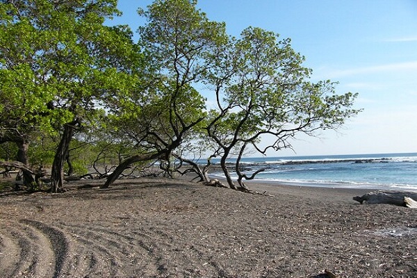 Playa Marbella Beach Costa Rica