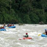 Rafting- savegre