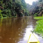 Tortuguero National Park