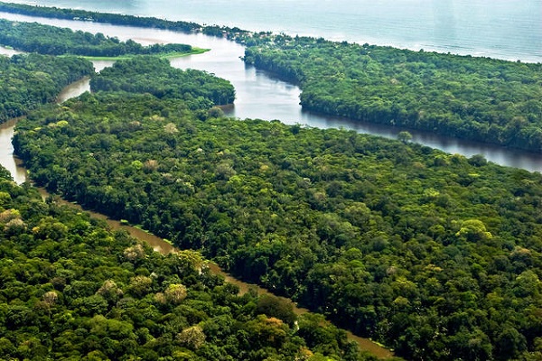 Tortuguero Canals