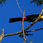 Palo Verde National Park, Costa Rica