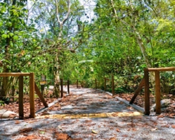 Lush and beautiful: Carara National Park