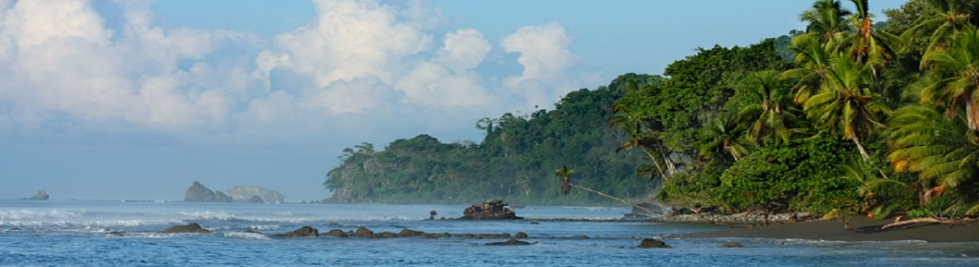 Experience of a lifetime – Corcovado!