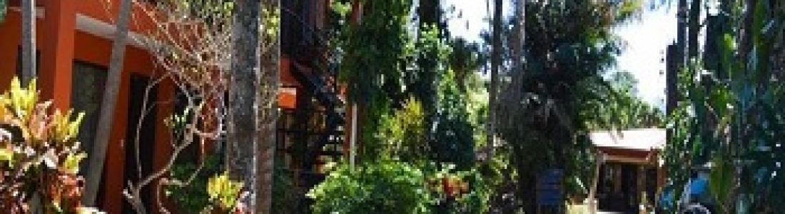 Hotel Brilla Sol, pura vida