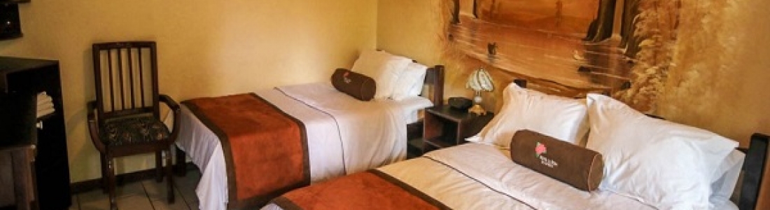 Hotel La Rosa de America-room