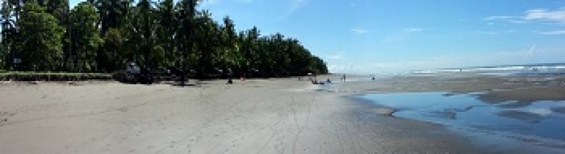 Playa Bejuco, hotel Costa del Sol