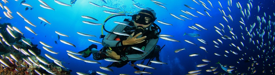 Diving-day at Limon!