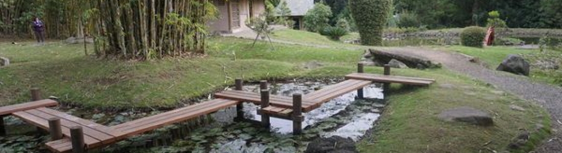 lankester-botanical-cartago