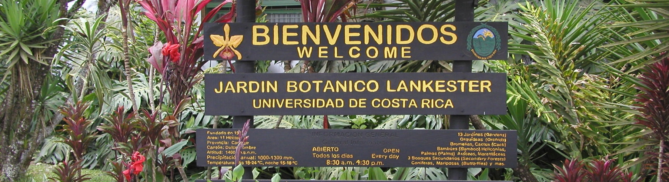 Cartago’s Lankester Botanical Gardens Solid Car Rental